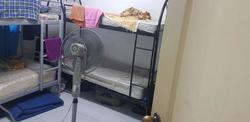 Blk 3 Saint Georges Road (Kallang/Whampoa), HDB 3 Rooms #189704012